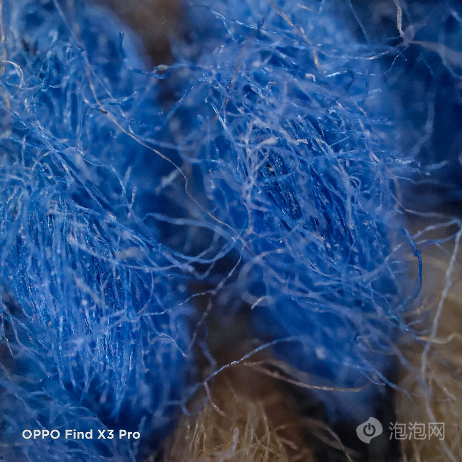 贝塔实验室oppofindx3挑战显微镜微距摄影